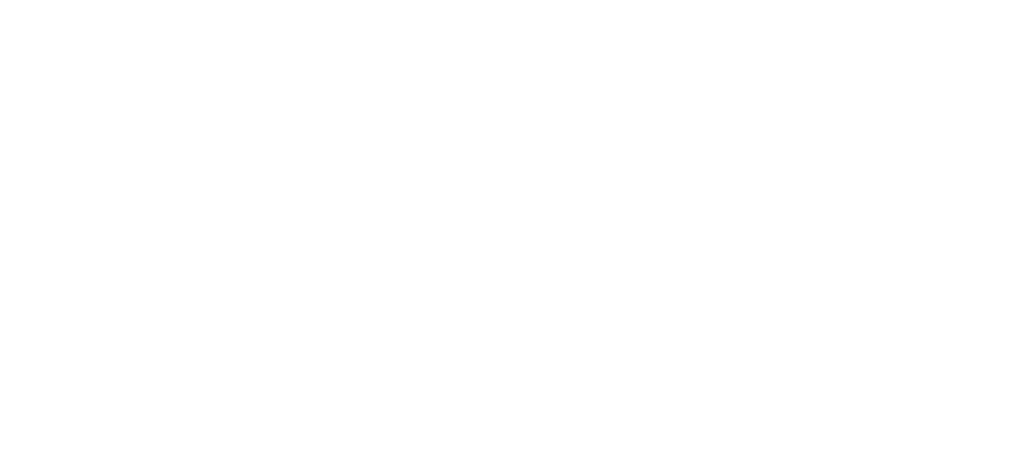 mision
